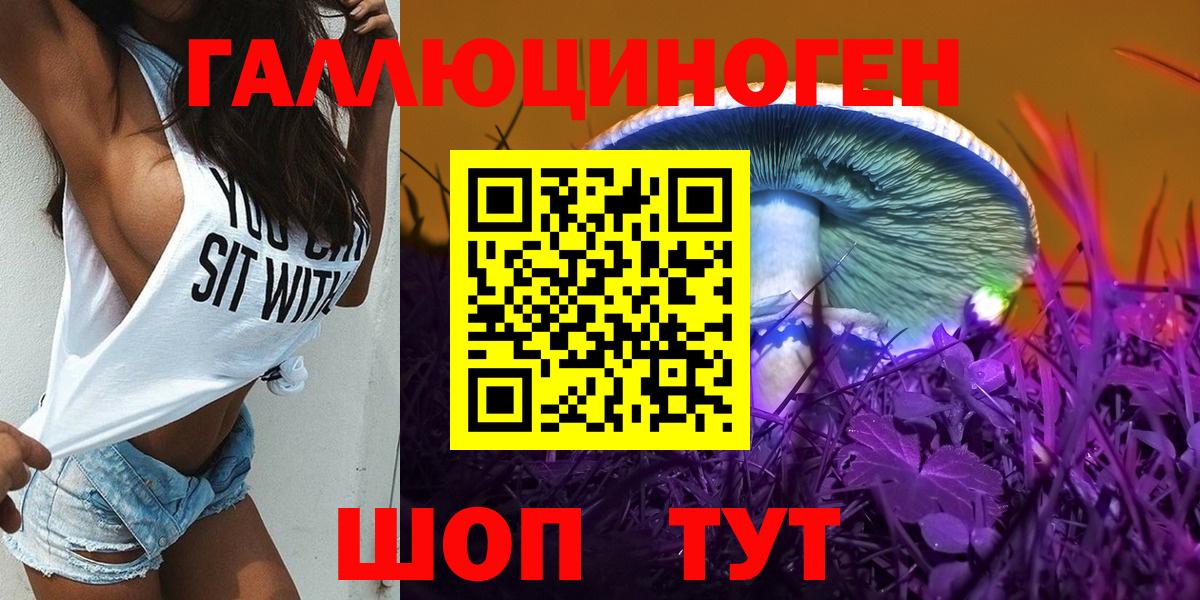 где купить наркотик  Вход с VPN  Псилоцибиновые грибы мухоморы  Избербаш  Псилоцибиновые грибы GOLDEN TEACHER 